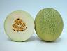 Muskmelon